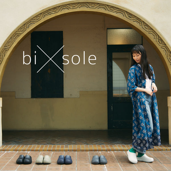 bi×sole