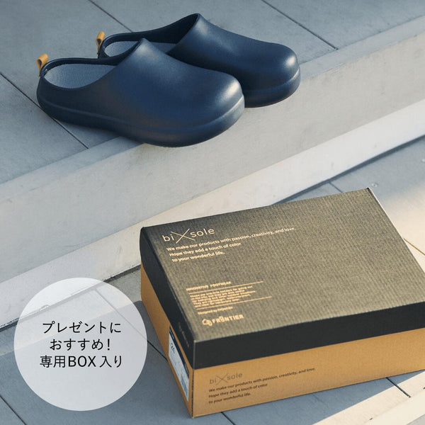 bi×sole
