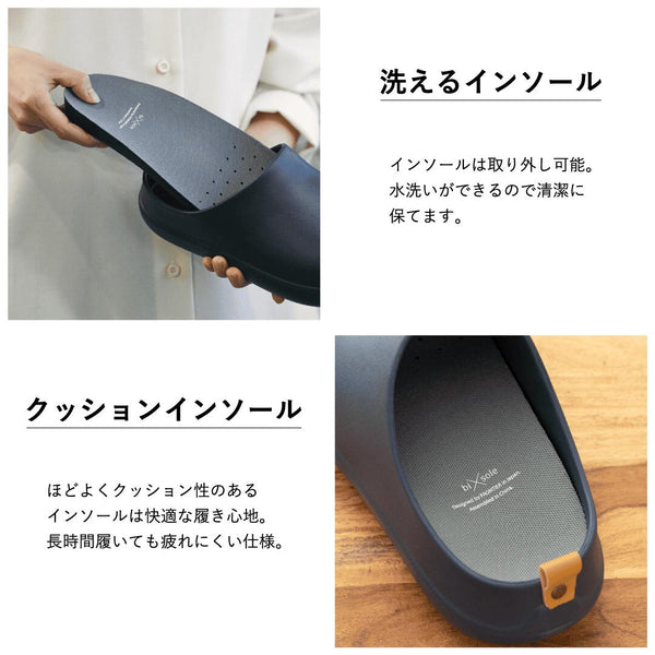 bi×sole
