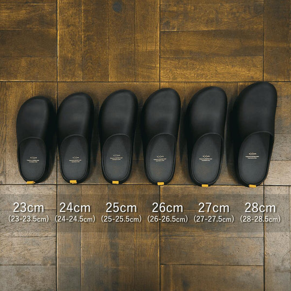 bi×sole